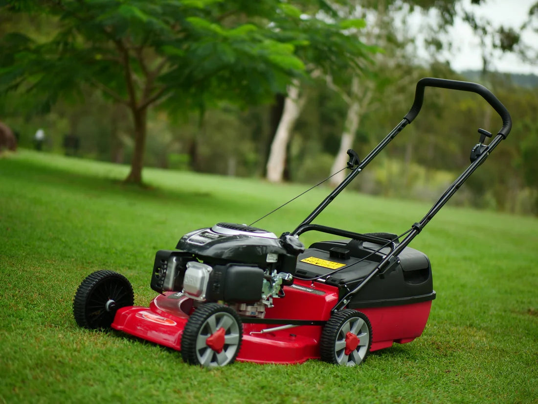 Cox Push 19A 19" Alloy Kohler Push Mower