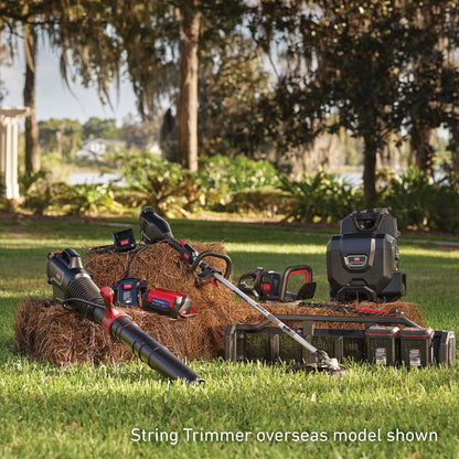 Toro 60V MAX Revolution Backpack and Leaf Blower Canon Skin