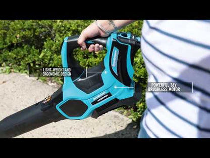 36V Battery Powered Blower